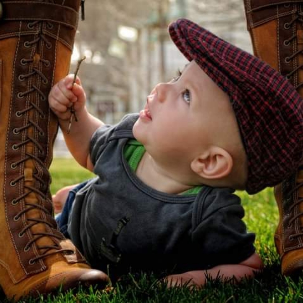 Timberlands